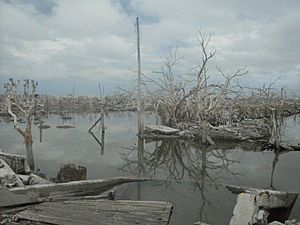 Villa Epecuén.JPG