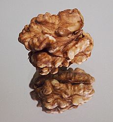 Whole Walnut Kernel