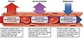 2108 Capillary Exchange