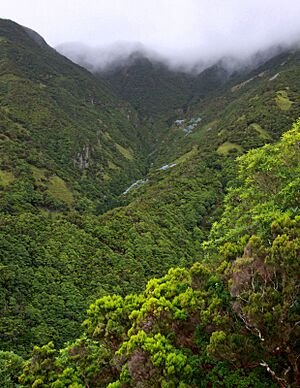 Açores 2010-07-20 (5068665946)