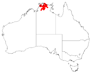 Acacia mimulaDistMap601.png