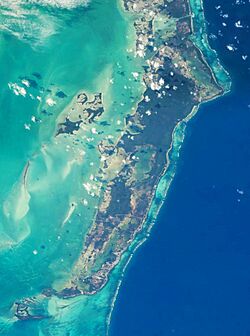 Ambergris Caye from space.jpg