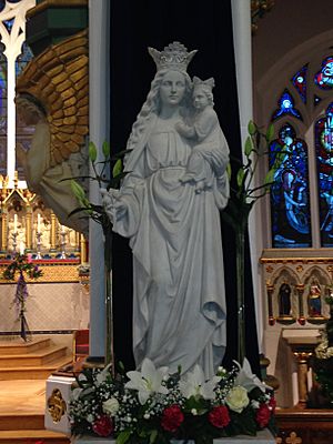 BVM st marys