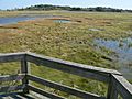 Belle Isle Marsh P1110371