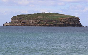 Bird Island New South Wales.jpg