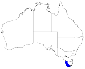 Boronia elisabethiae DistMap36.png