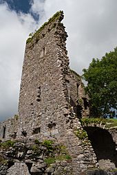 Castlelyons Friary Tower SE 2015 08 27