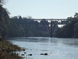 Claudelands Train bridge