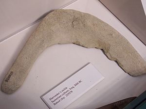 ClaySumerianSickle