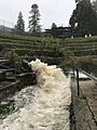 Cordonices Creek at Rose Garden