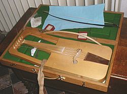 Crwth-in-case.jpg