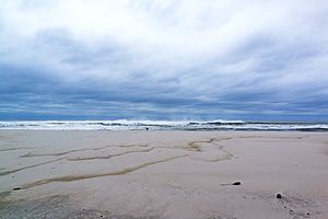 Cupsogue beach during Jose (36559081033).jpg