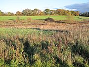 Edgware Way Grassland