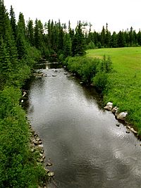 Edson River AB 2