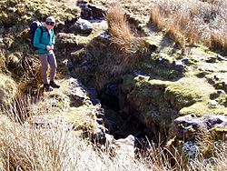 Flood Entrance Pot.jpg