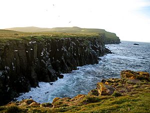 Grímsey Iceland