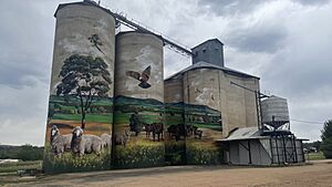 Grenfell Silo Art