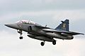 Gripen - RIAT 2008 (2689597919)