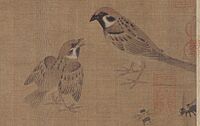 Huang-Quan Tree sparrow
