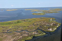 Islands at Edwin B. Forsythe National Wildlife Refuge (14848427708).jpg