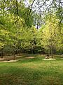 Joseph Beuys Sculpture Park at UMBC