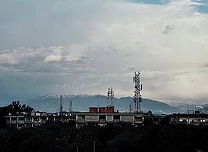 Kasauli Hills Snow