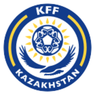 Shirt badge/Association crest