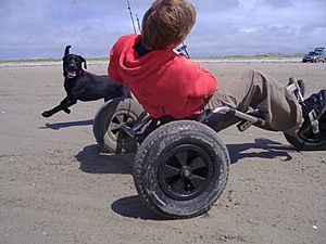 Kite buggying at claggan erris