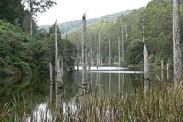 Lake elizabeth.jpg