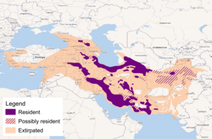 Leopard-tulliana-range.png