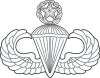 Master Parachutist badge (United States).svg