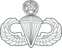 Master Parachutist badge (United States).svg