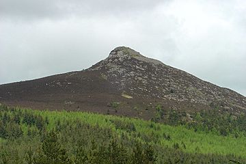 Mither Tap from the South - geograph.org.uk - 55769.jpg