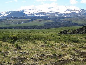 Mount Edziza lava flows