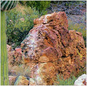 PERALTA MINE LEDGE