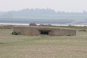 Pill Box on Mersea Island - geograph.org.uk - 5347