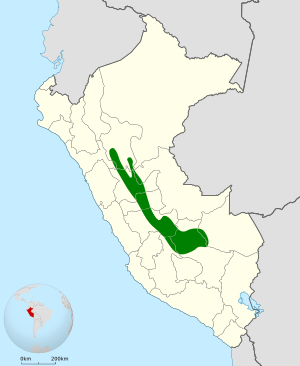 Pipreola pulchra map.svg