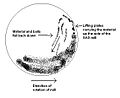 Principle of SAG Mill operation