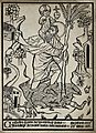 Saint Christopher. Woodcut. Wellcome V0031876