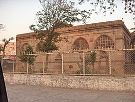 Sidi-Saiyyed-Jaali-Ahmedabad