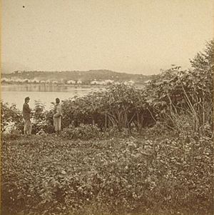 Sitka indian village 1868