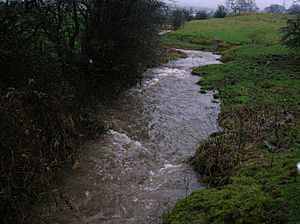 Speir's Powgreen burn upper