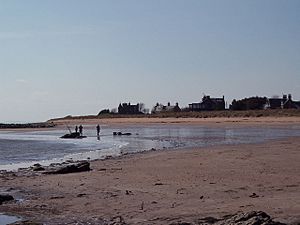 The beach at East Haven