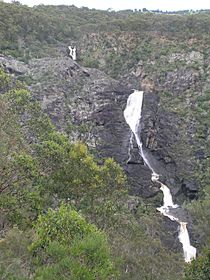 Tia Falls