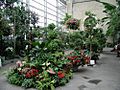 US botanic garden 3