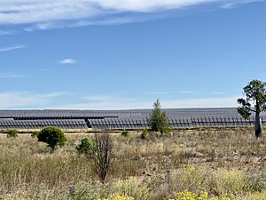 Wandoan South Solar Farm, Woleebee, Queensland, 2023, 02