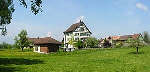 2009-05-03 Basadingen