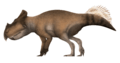 Bagaceratops Restoration