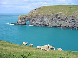 Banks Peninsula Track 1