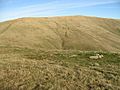 Ben Cleuch - geograph.org.uk - 1578428